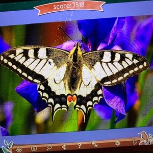 Meet your Posher, Mary